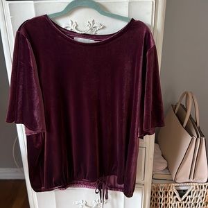 Loft Velvet Blouse